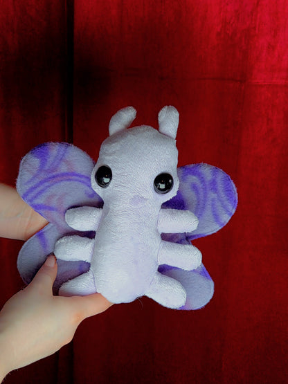 Love Bug Moth - Lilac