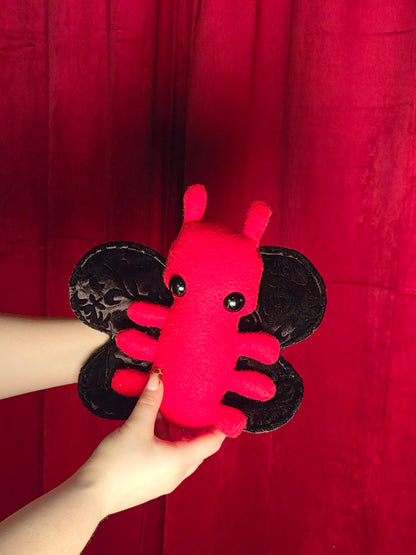 Love Bug Moth - Velvet Vampire