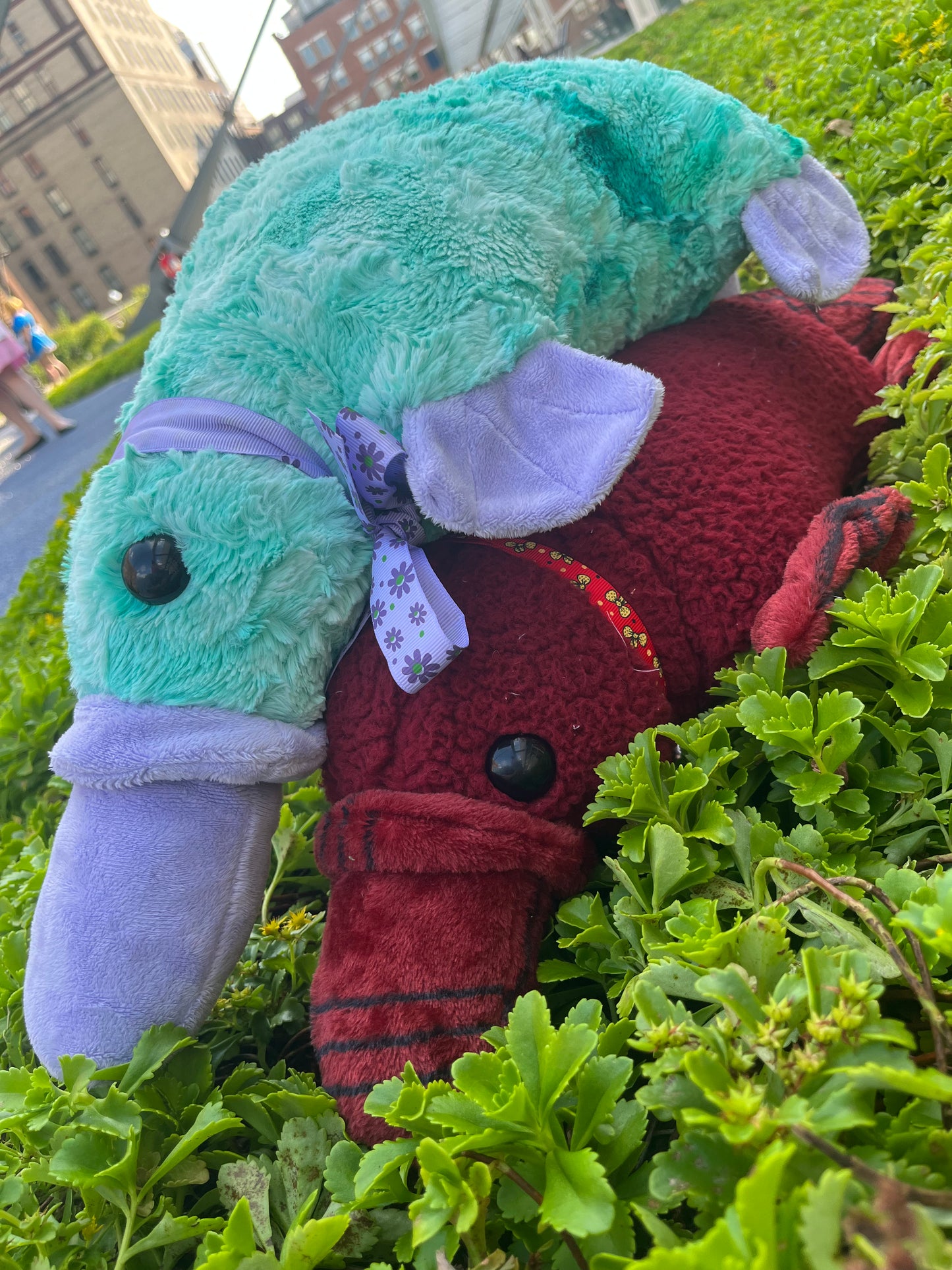 Preorder 30" Platypus Stuffie